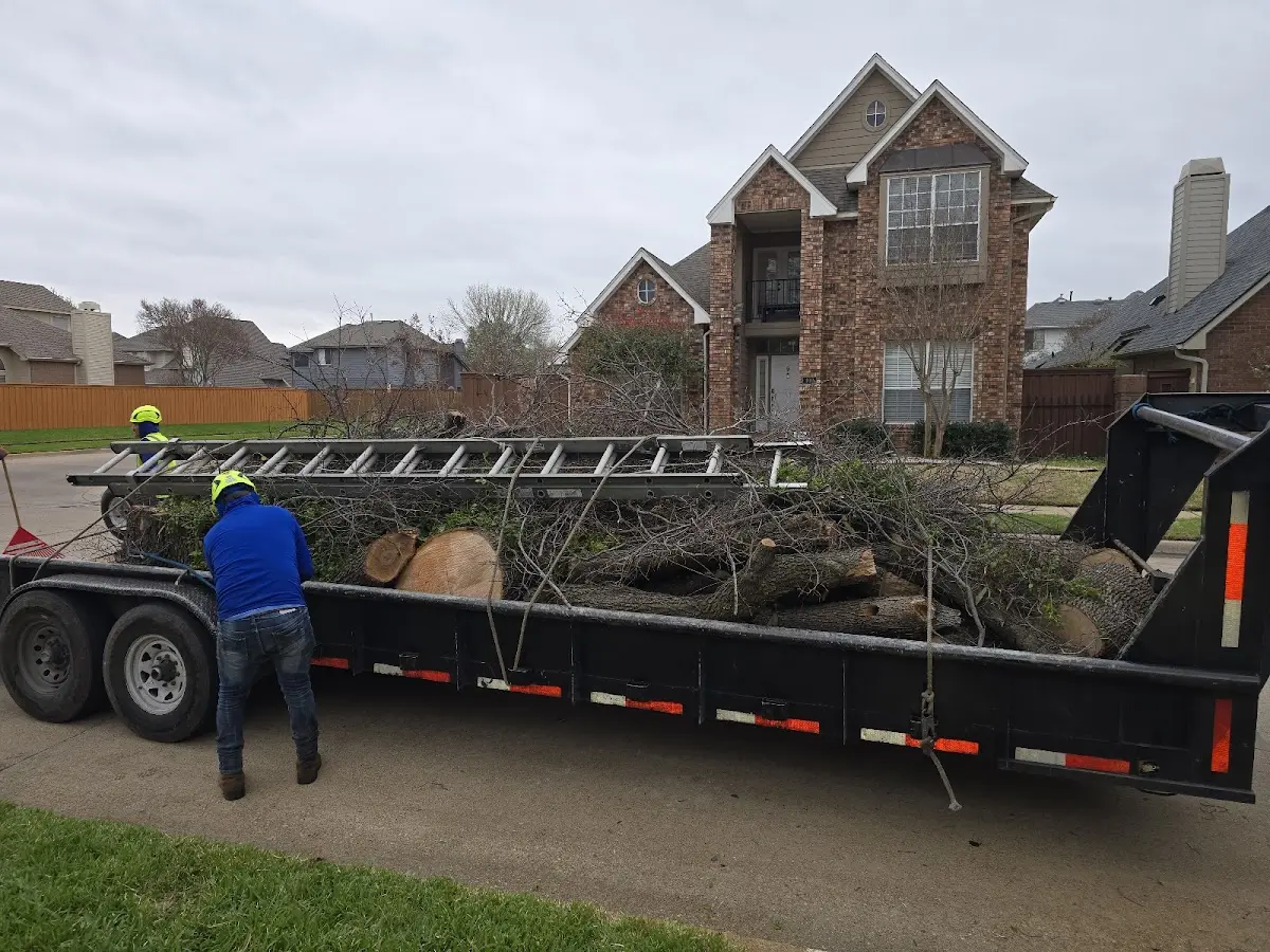 Expert Lot Clearing with proper safety equipment in Downs